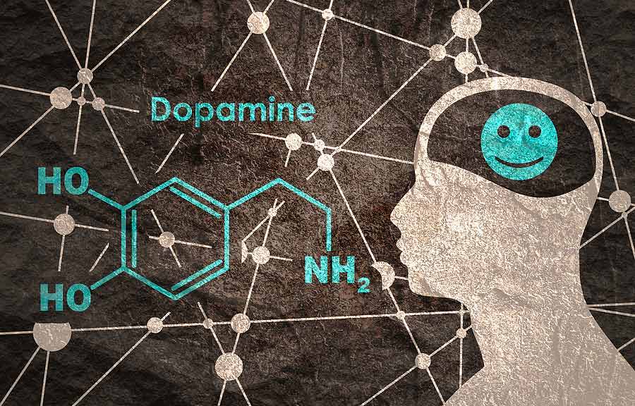 Dopamín – ako táto chemická “odmena” ovplyvňuje správanie ľudí a aké má spojenie s výživou